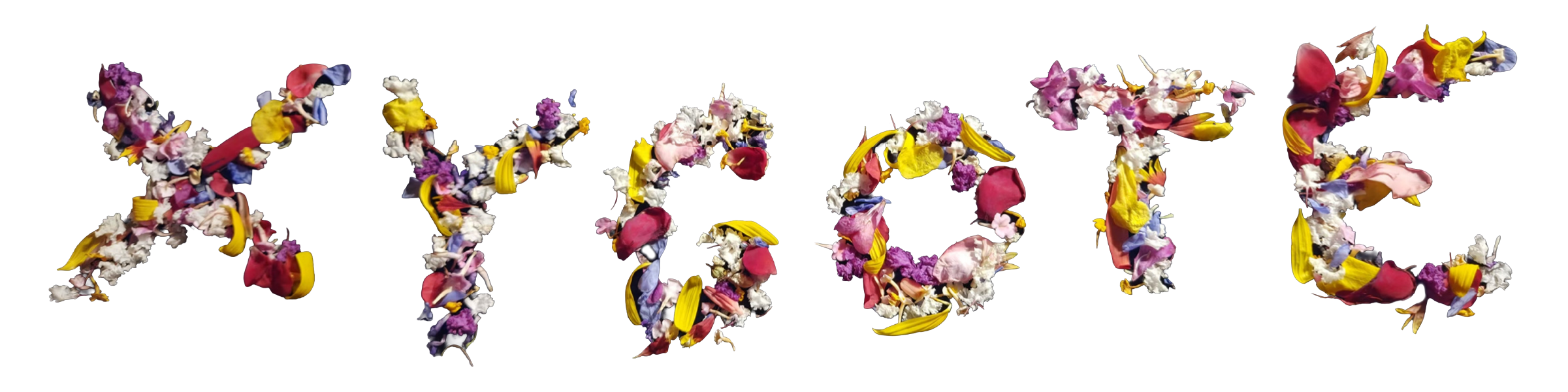 Xygote Band Logo